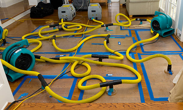 Professional Emergency Water Removal technician working in Groveland, MA